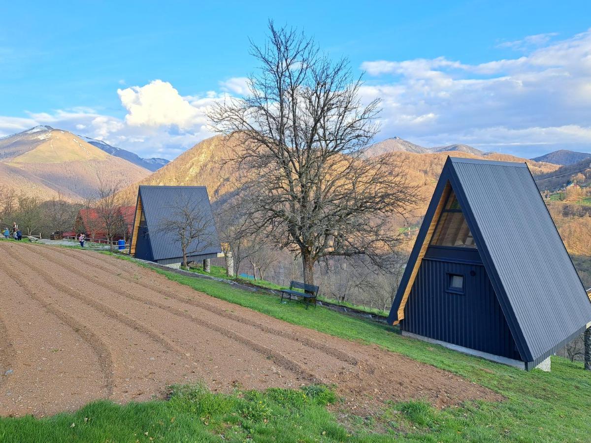 Fern Farm Tiny Home Mojkovac Zewnętrze zdjęcie