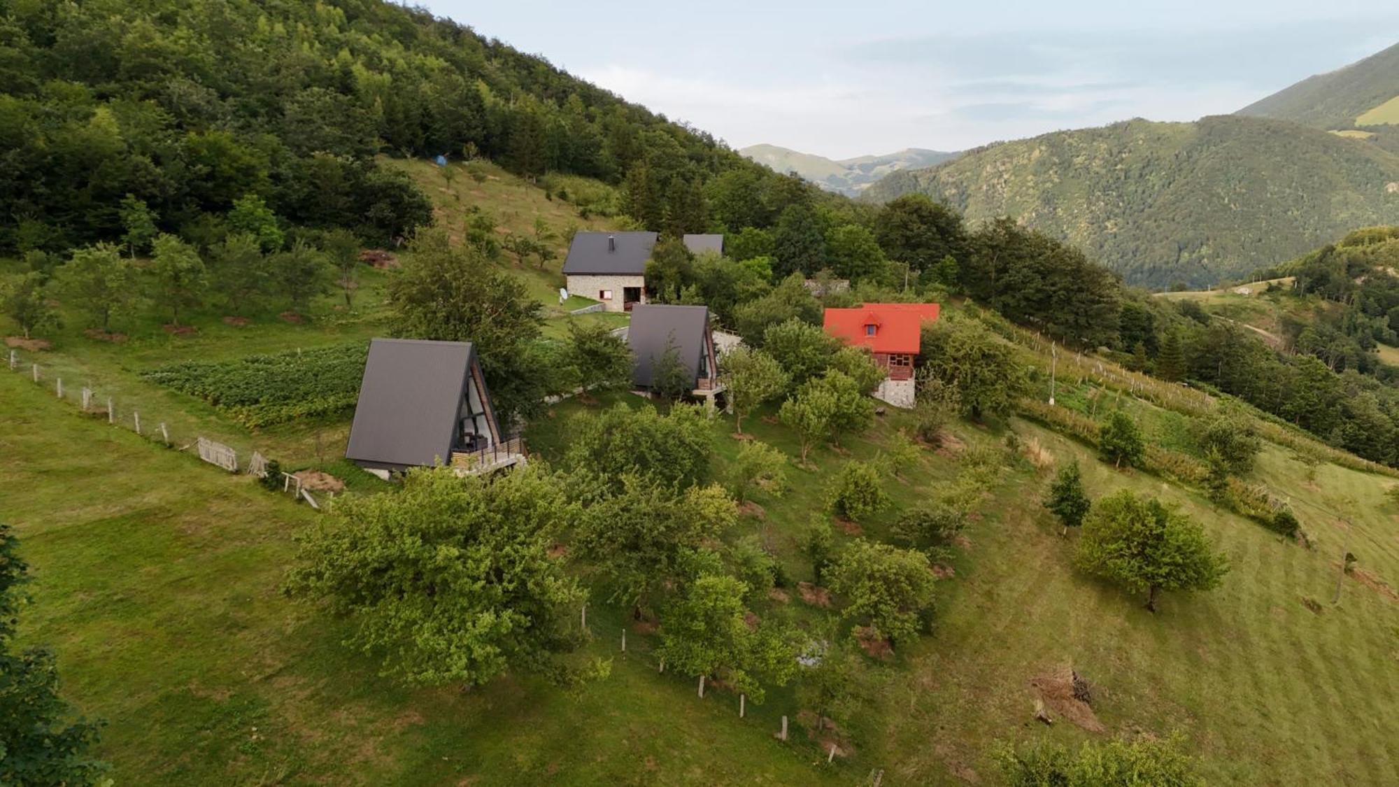 Fern Farm Tiny Home Mojkovac Zewnętrze zdjęcie